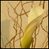 Corporate flower display