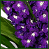 Corporate flower display