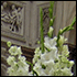 white table display