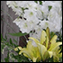 white table display